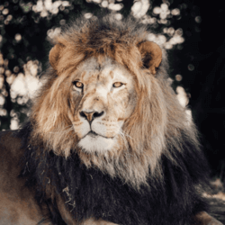 Imagen de la galería 1