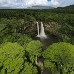 Imagen de la galería 4