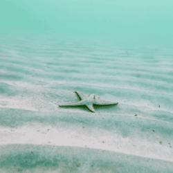 Imagen de la galería 5